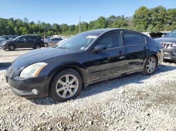  Salvage Nissan Maxima