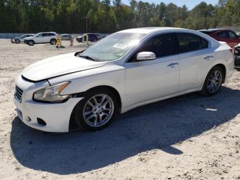  Salvage Nissan Maxima