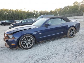  Salvage Ford Mustang