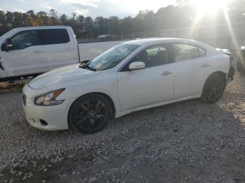  Salvage Nissan Maxima