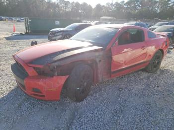  Salvage Ford Mustang