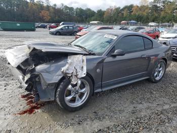  Salvage Ford Mustang