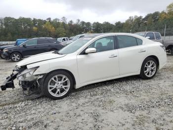  Salvage Nissan Maxima