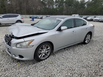  Salvage Nissan Maxima