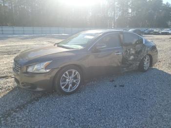  Salvage Nissan Maxima