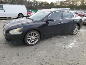  Salvage Nissan Maxima