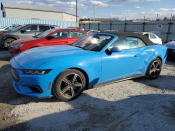  Salvage Ford Mustang