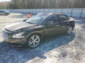  Salvage Nissan Maxima