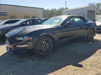  Salvage Ford Mustang