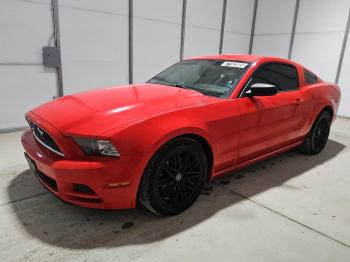 Salvage Ford Mustang