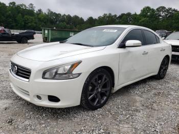  Salvage Nissan Maxima