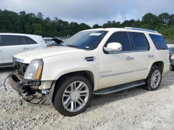  Salvage Cadillac Escalade