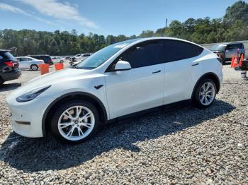  Salvage Tesla Model Y