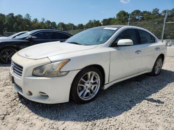  Salvage Nissan Maxima