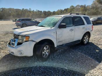  Salvage Ford Escape