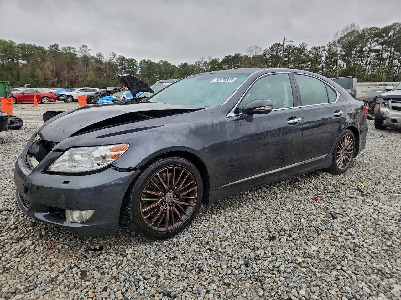 Lexus LS 460 Image 1