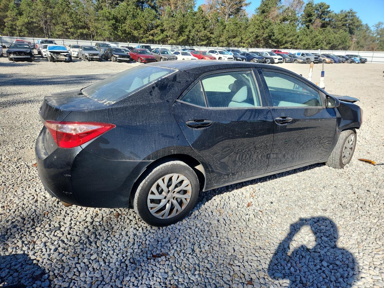 Toyota Corolla L Image 4