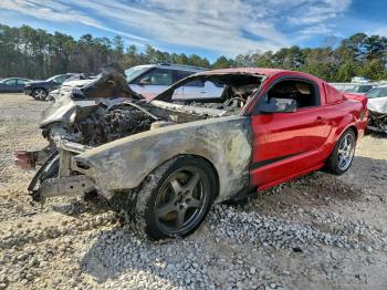  Salvage Ford Mustang