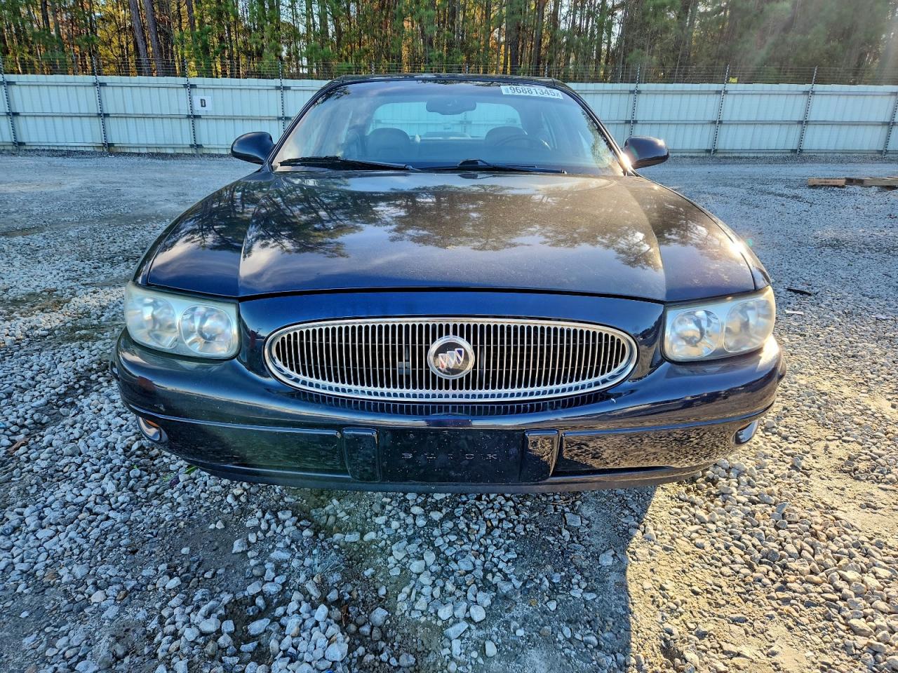 Buick LeSabre Custom Image 12