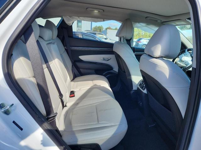 Hyundai TUCSON Limited Image 8