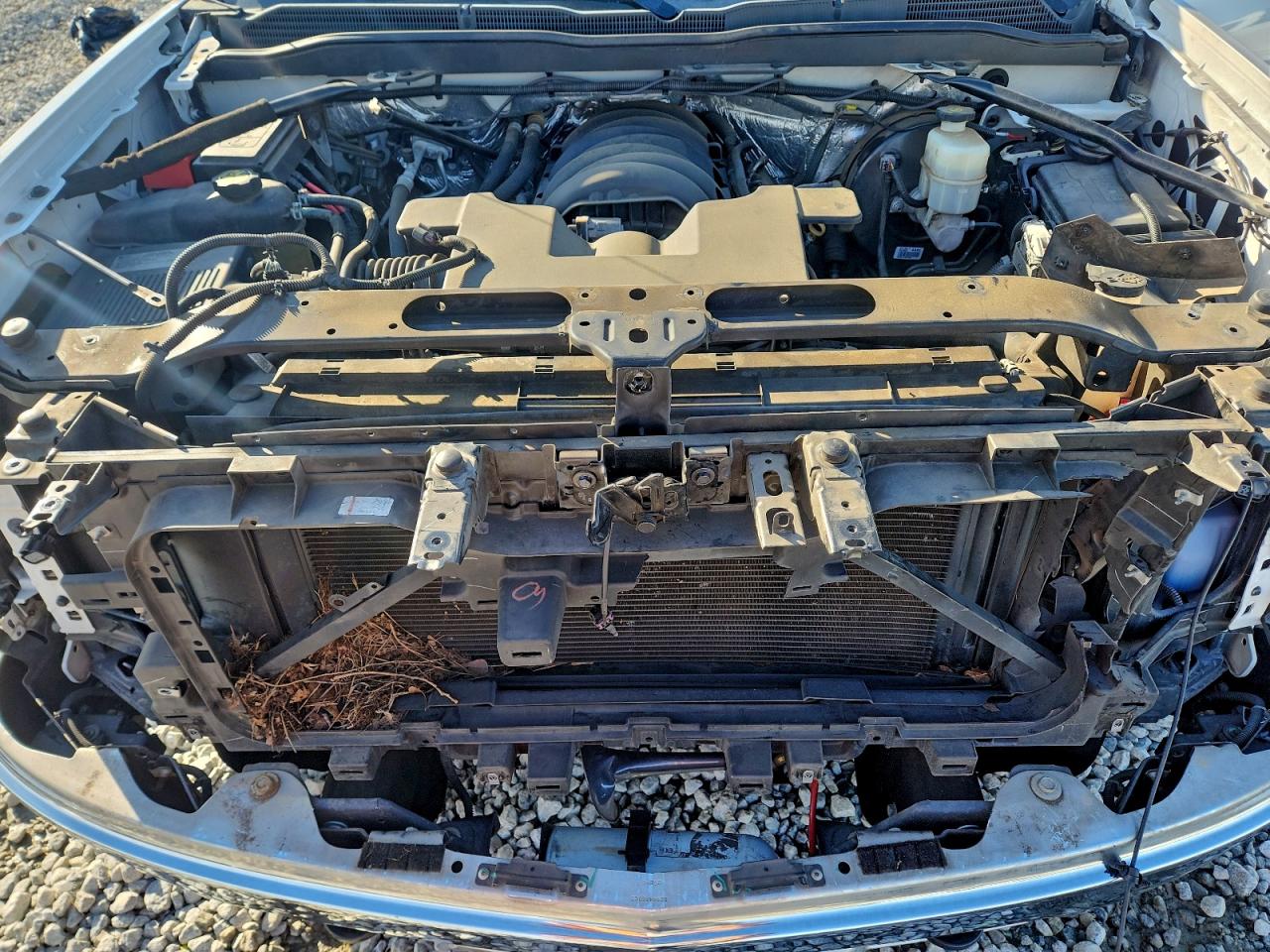 Chevrolet Silverado C1500 Lt Image 7