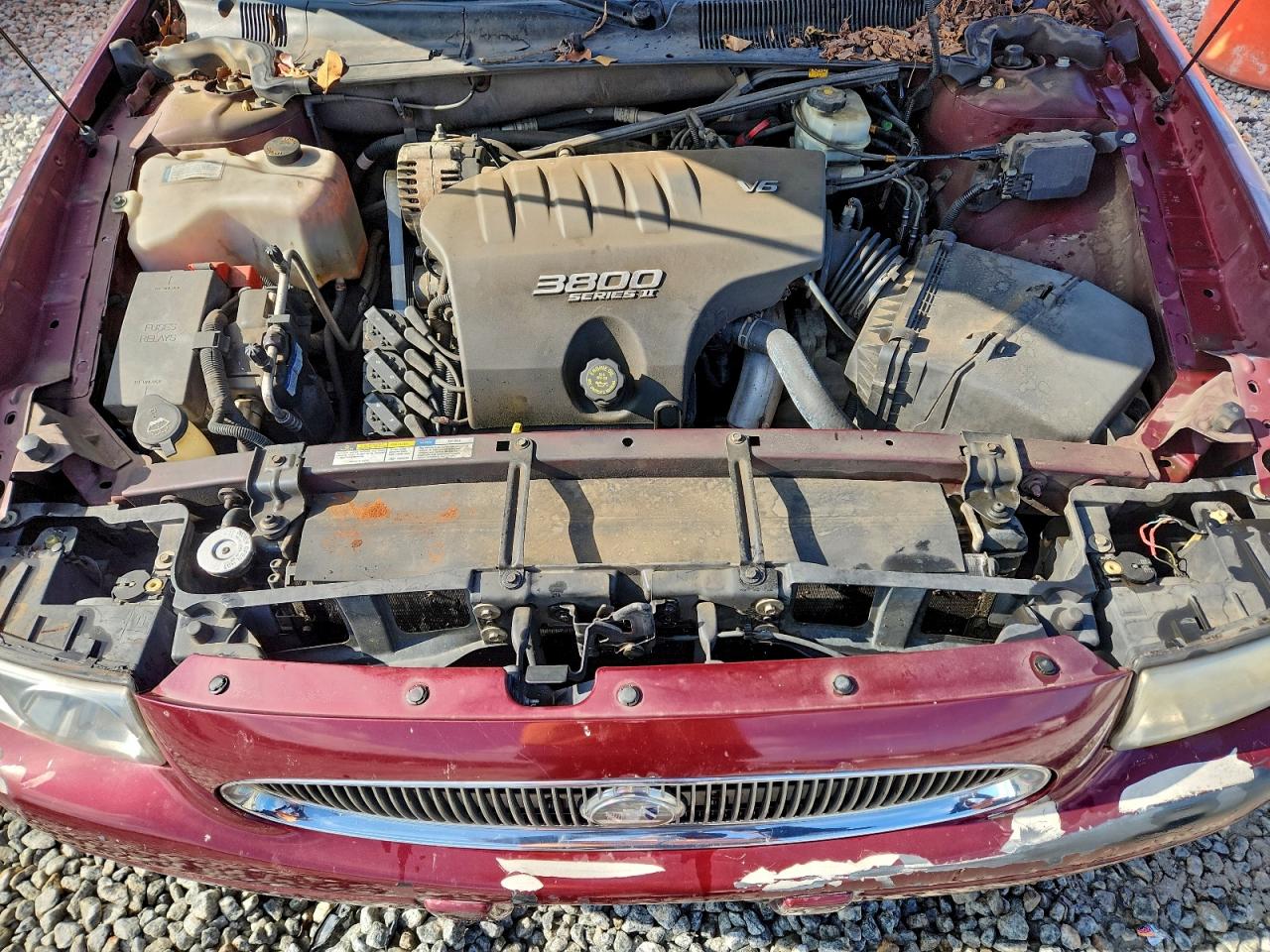 Buick LeSabre Limited Image 5