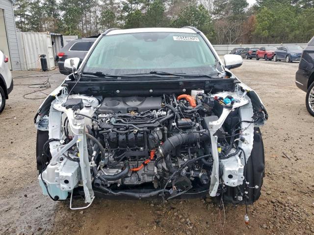 Toyota RAV4 Xle Image 5