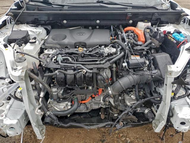 Toyota RAV4 Xle Image 6