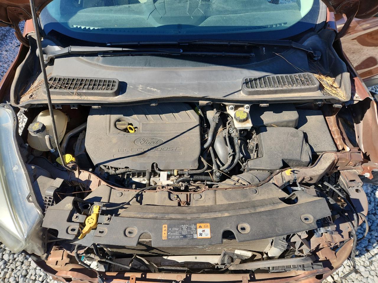 Ford Escape Se Image 7