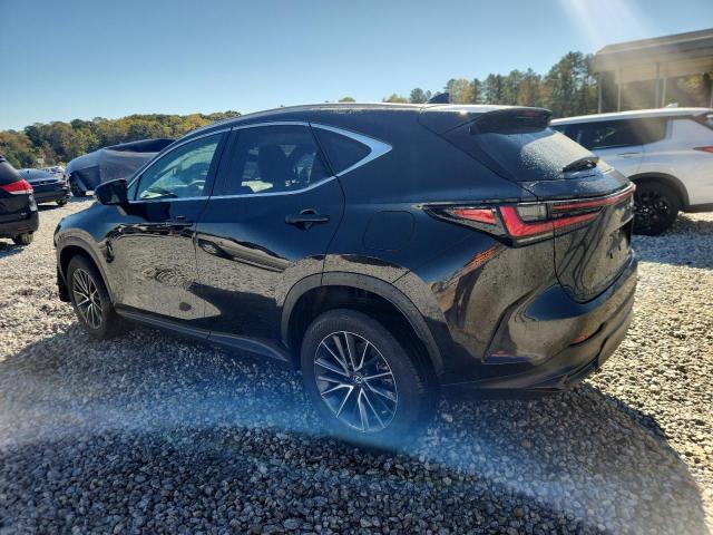 Lexus NX 250 Base Image 3