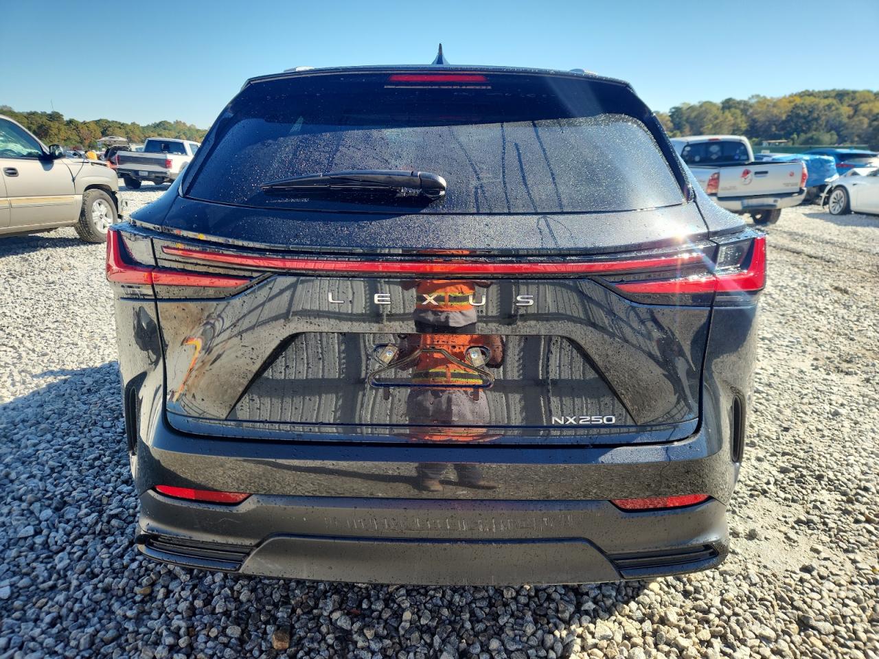 Lexus NX 250 Base Image 7