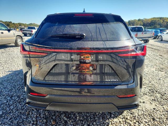 Lexus NX 250 Base Image 7