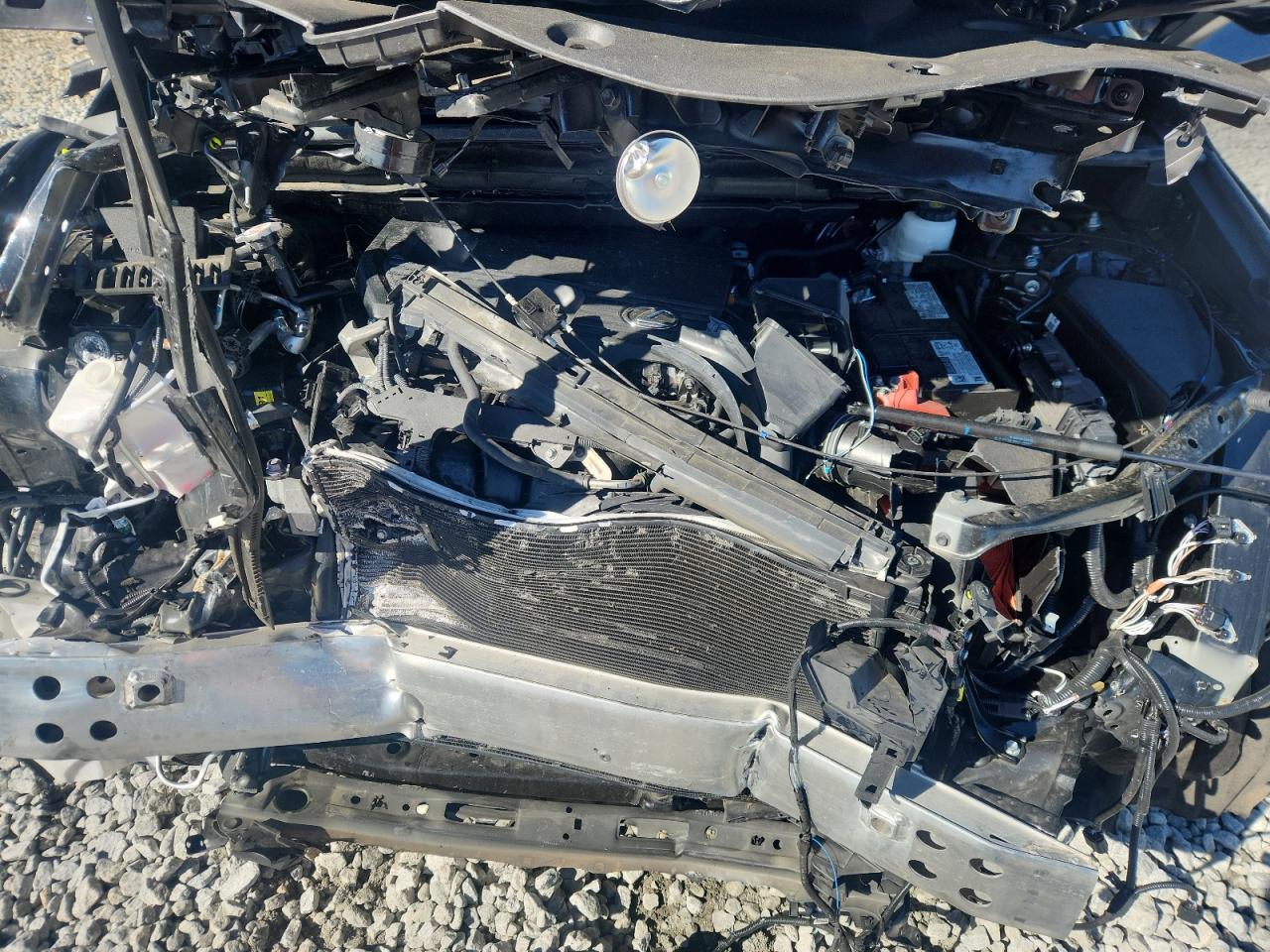 Lexus NX 250 Base Image 12