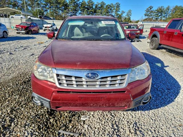 Subaru Forester Limited Image 11