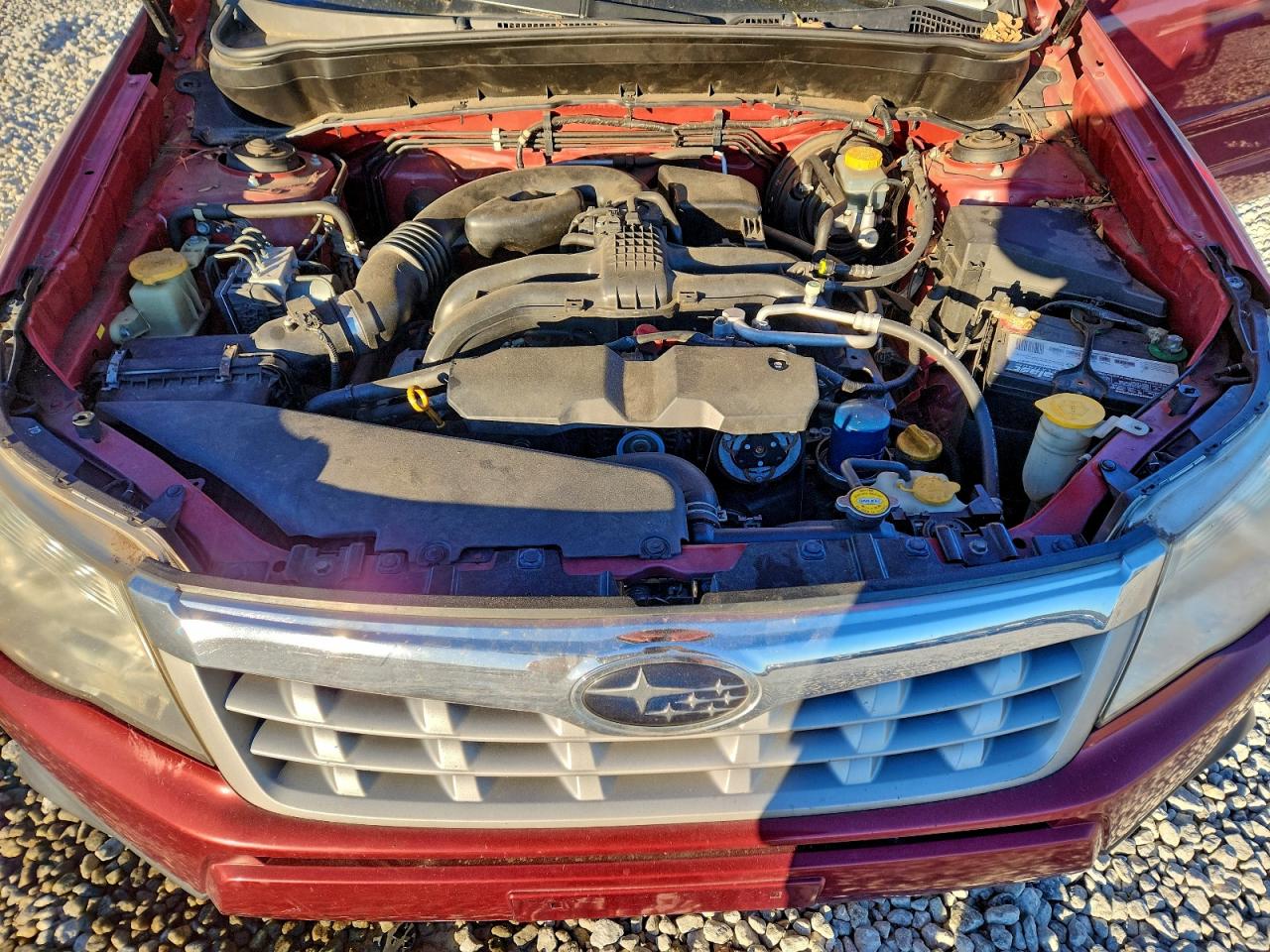 Subaru Forester Limited Image 5