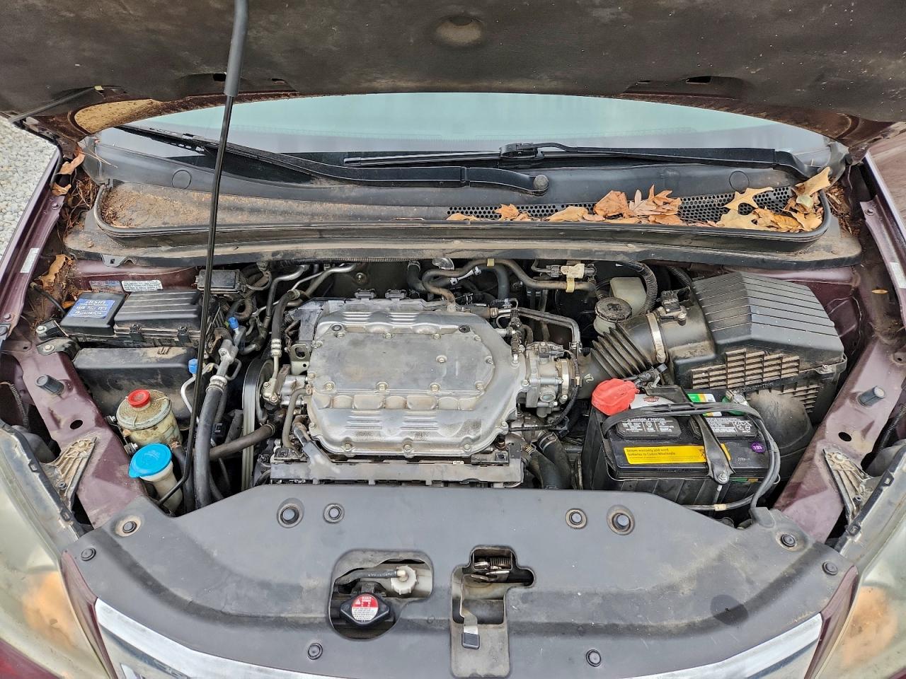 Honda Odyssey Exl Image 5