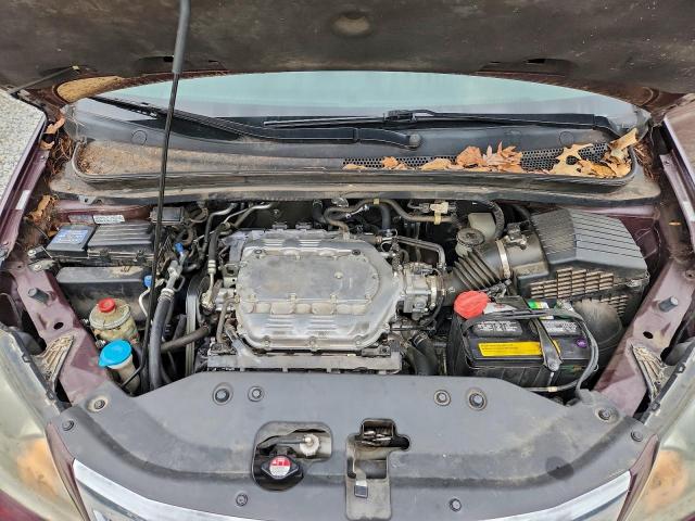 Honda Odyssey Exl Image 5