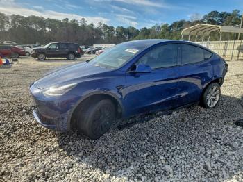 Salvage Tesla Model Y