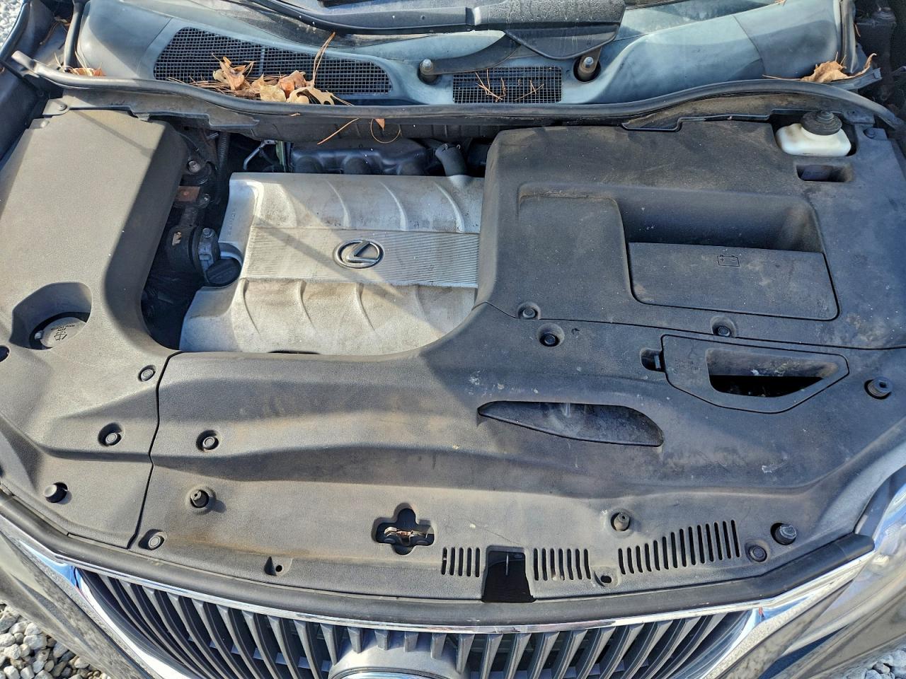 Lexus RX 350 Image 3