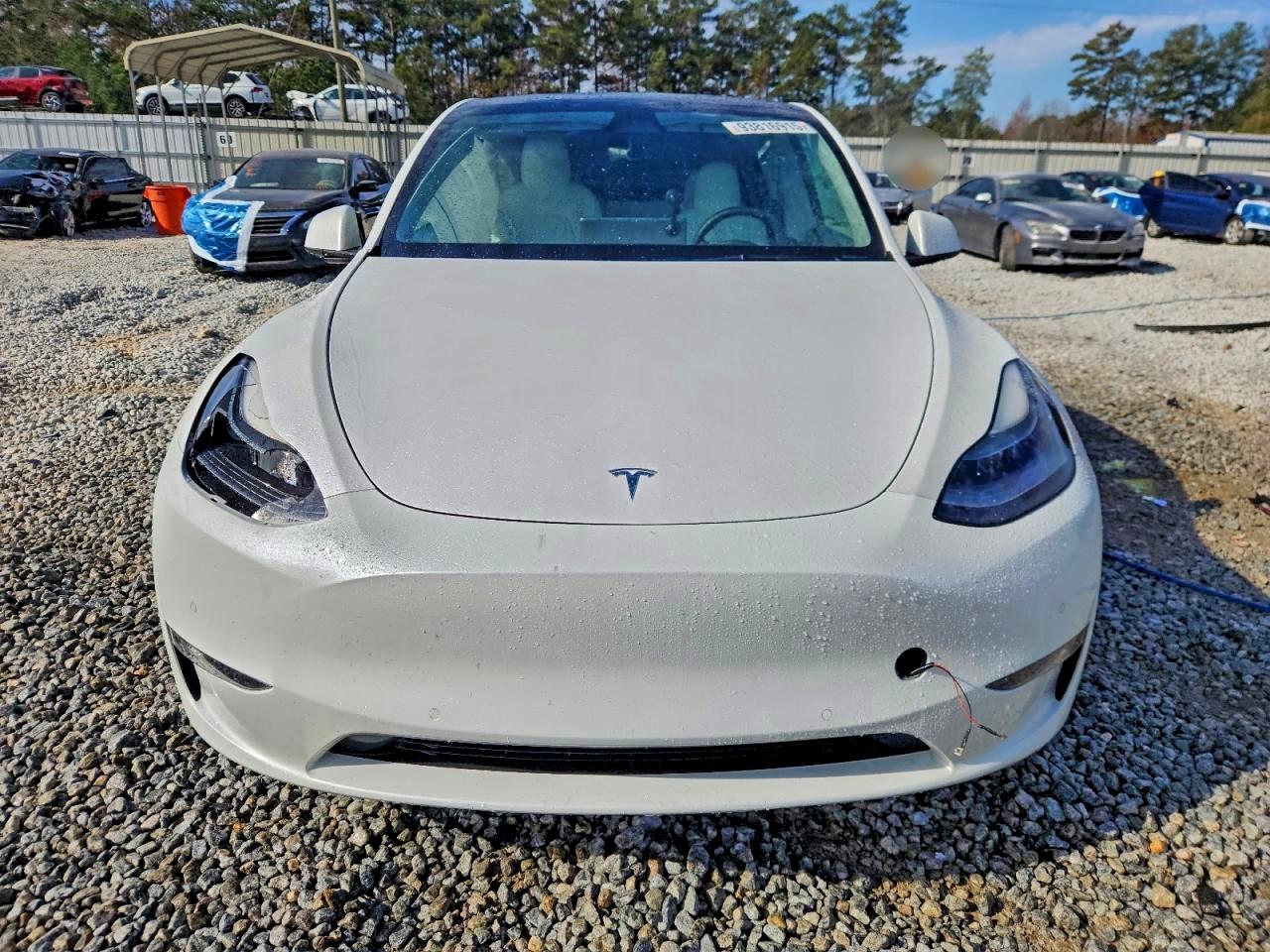 Tesla Model Y Image 7