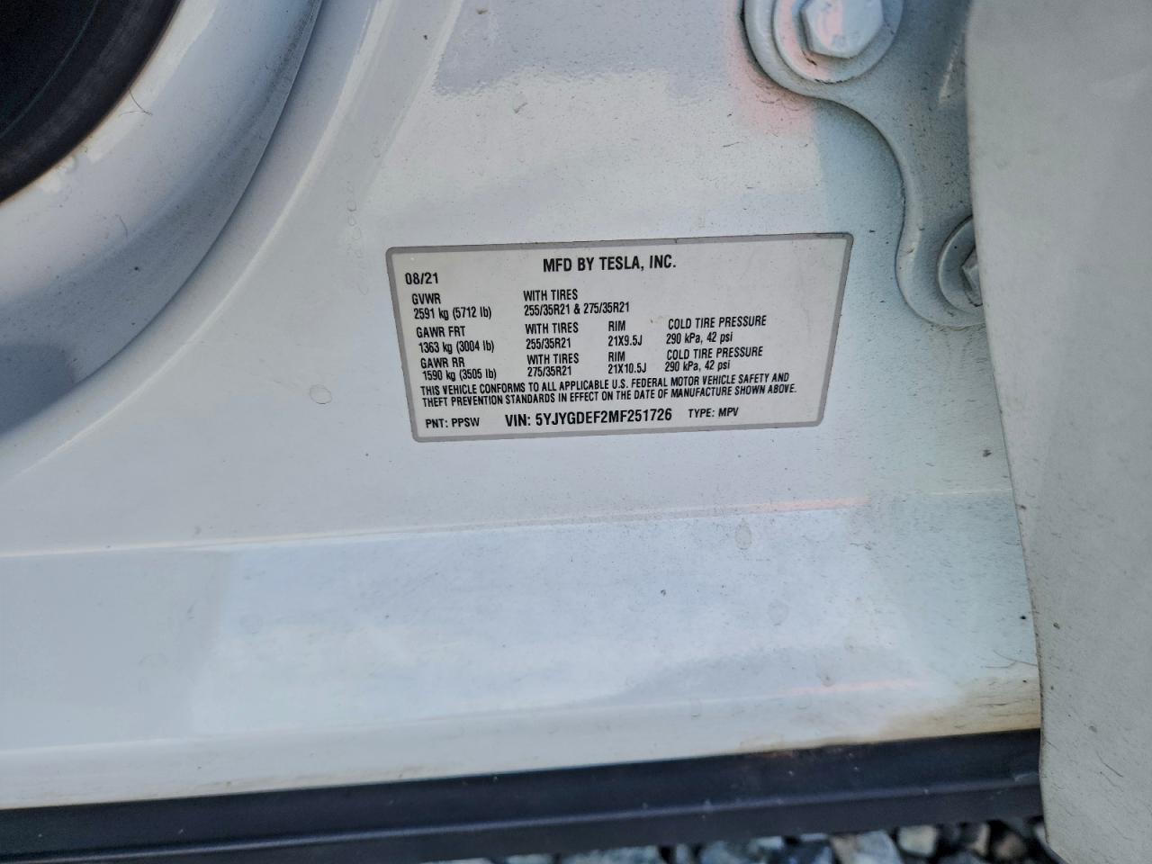 Tesla Model Y Image 12