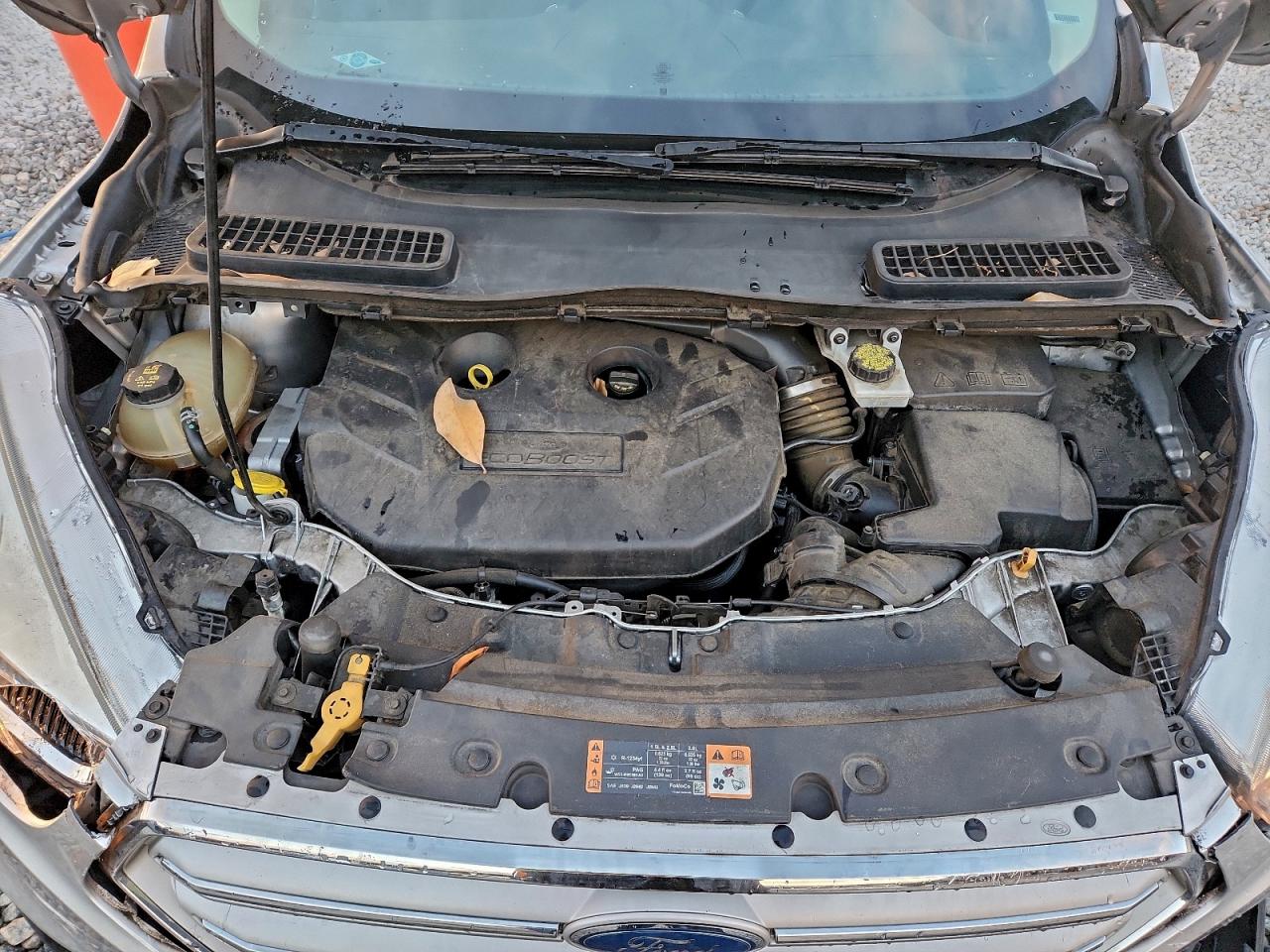 Ford Escape Se Image 11