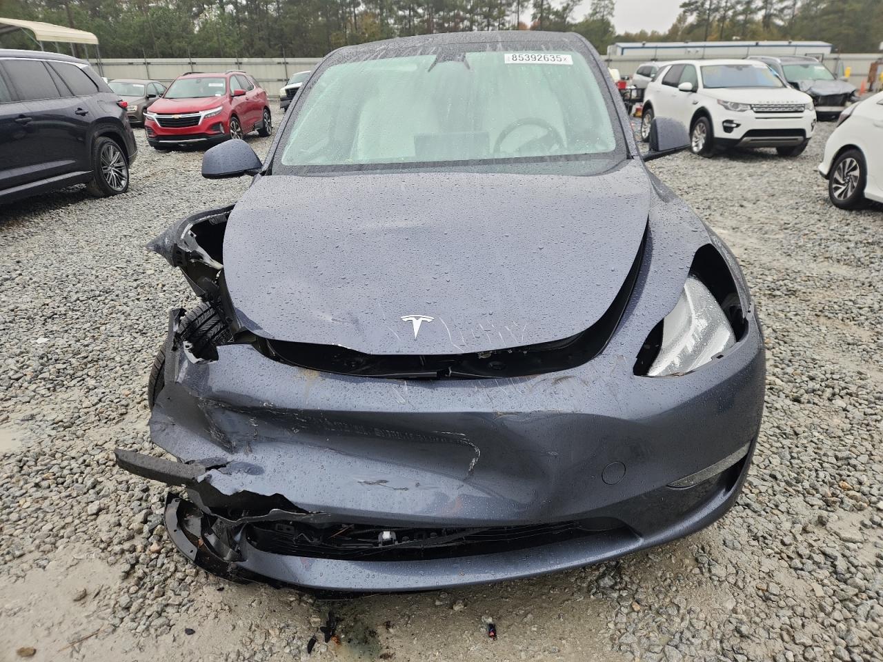 Tesla Model Y Image 12