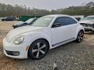Volkswagen Beetle Turbo Image 1