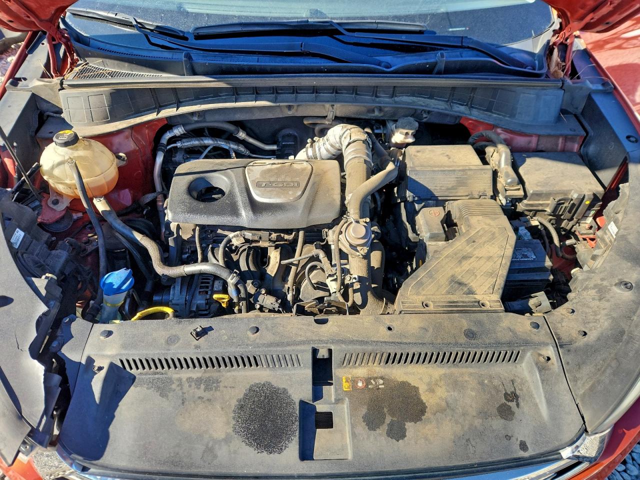 Hyundai TUCSON Limited Image 7