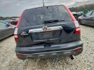 Honda Crv Exl Image 5