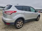 Ford Escape Titanium Image 7