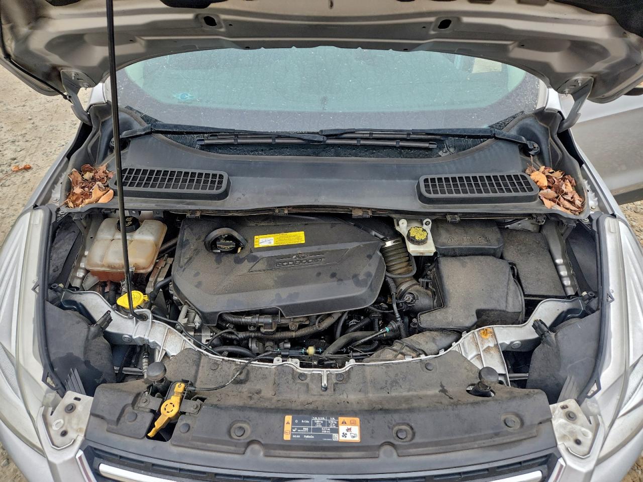 Ford Escape Titanium Image 10