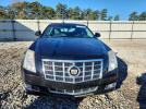 Cadillac CTS Premium Collection Image 12