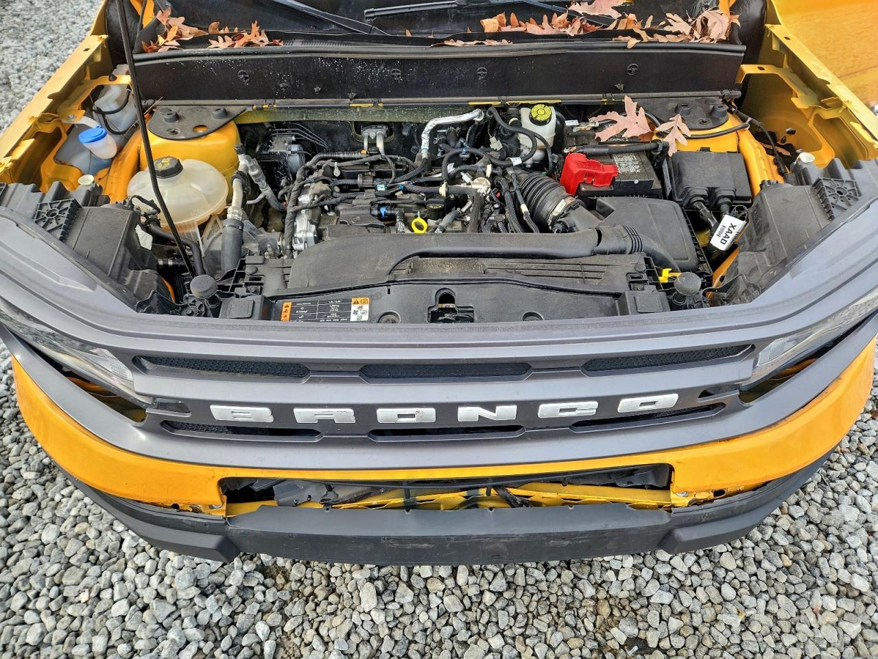 Ford Bronco Big Bend Image 7